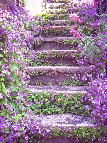 Lilac Stairway